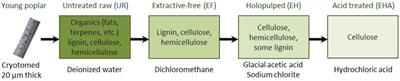 Nanometrology of Biomass for Bioenergy: The Role of Atomic Force Microscopy and Spectroscopy in Plant Cell Characterization